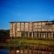 Treetops Lodge