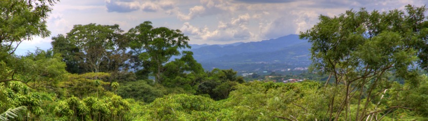 Holidays to San Jose Costa Rica Birding Tours To San Gerardo de Dota