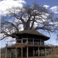 Tarangire Treetops