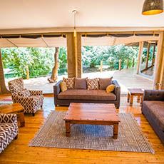 Mara Treetops Camp