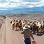 Bolivia and Peru Holidays Salt Flats La Paz Lake Titicaca Machu Picchu
