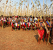 South Africa Tailor Made Holidays Private Safari Kruger Swaziland Durban