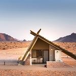 Desert Quiver Camp