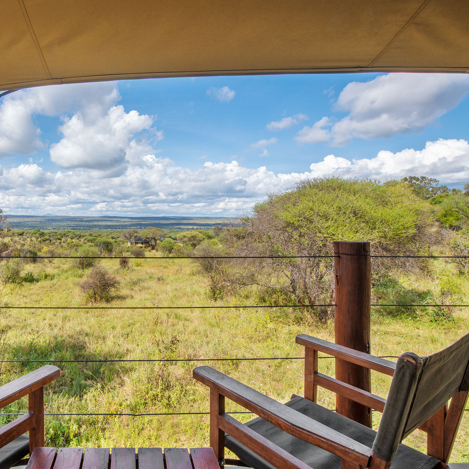 Tarangire Kuro Treetops