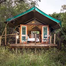 Mashatu Tented Camp