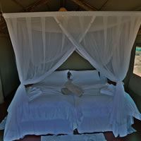 Kalahari Tented Camp