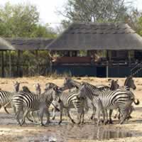 Makalolo Plains