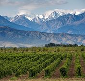 Argentina Chile Winelands Holidays Buenos Aires Mendoza Santiago