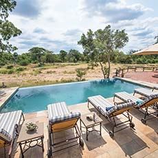 Shumbalala, Thornybush