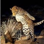 Namibia Flying Safari Holiday Sossusvlei Namib Desert Etosha Swakopmund