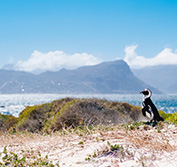 Rovos Rail Dar Es Salaam Luxury Train Tanzania Cape Town South Africa