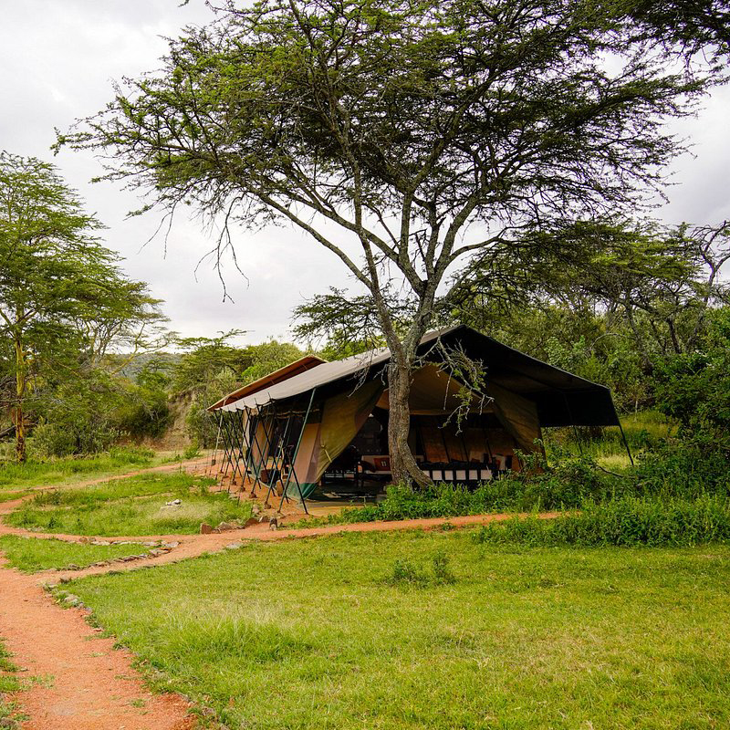 Porini Giraffe Camp