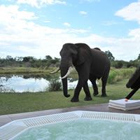 Thorntree River Lodge