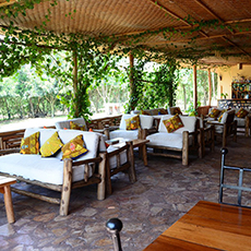 Simba Safari Lodge
