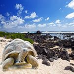 Peru Ecuador Wildlife Holiday Colca Canyon Amazon Cloud Forest Galapagos