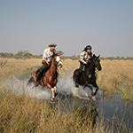 African Horseback Safari Botswana Macatoo Riding Holiday Okavango Vic Falls