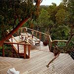 Tsala Treetop Lodge