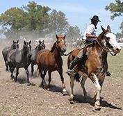 Holiday Buenos Aires Uruguay Montevideo Colonia Carmelo Winelands
