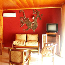 Puku Vai