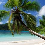 Indian Ocean Beach Wedding Seychelles Kenya Safari Honeymoon