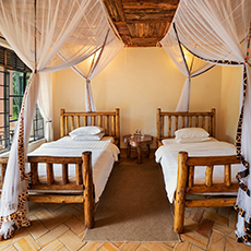 Simba Safari Lodge