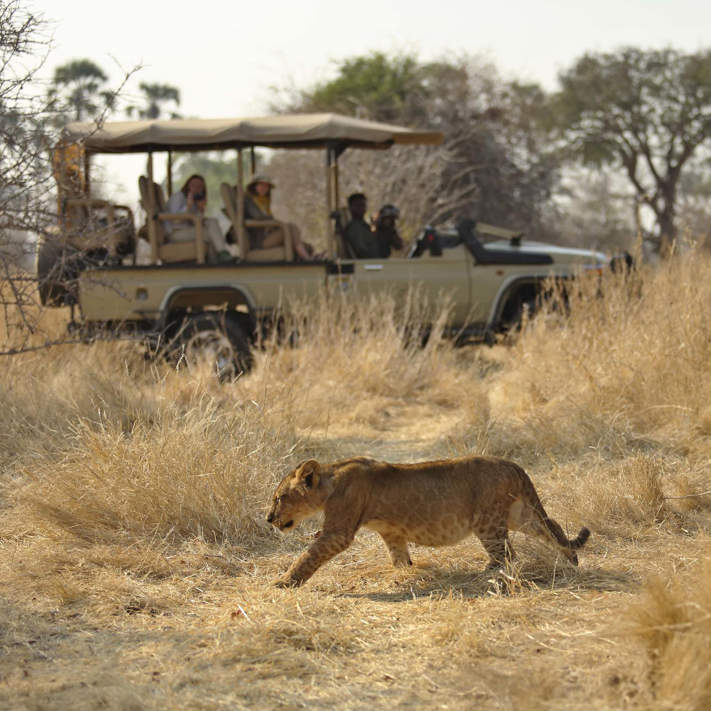 Ikuka Safari Camp