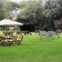 Lake Naivasha Country Club