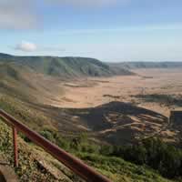 Melia, Ngorongoro