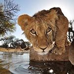 Kruger National Park Safari Private Guide South Africa Birding Photo