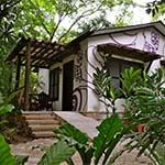 Jungle Lodge, Tikal