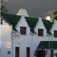 Protea Outeniqua