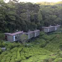 Rainforest Eco Lodge