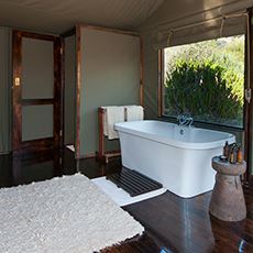 Hillsnek Safari Camp, Amakhala