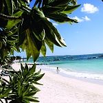 Luxury Flying Safari South Africa Tswalu Private Reserve Kalahari Mauritius