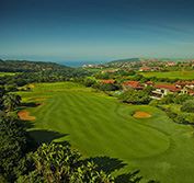 Golf Safari South Africa Beach Holiday Zimbali Durban Big 5 Vacation