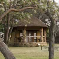 Horizon Horseback Lodge