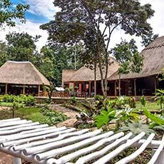 Primate Lodge Kibale