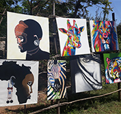 Kenya Private Safari Tour Masai Mara Lake Nakuru Birding Photography