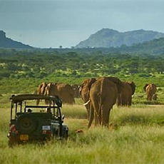 Elephant Watch Camp