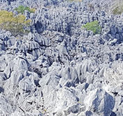 Madagascar Holiday Amber Mountain Montagne Ambre Ankarana Tsingy Nosy Be