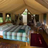 Kitich Camp