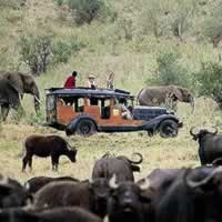 Cottars 1920s