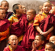 Wildlife Holiday India Kaziranga Tiger Sundarbans Darjeeling Gangtok Calcutta