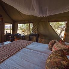 Desert Rhino Camp