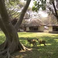 Letaba