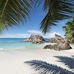 South African Safari Seychelles Mahe Island Hopping Praslin Honeymoon
