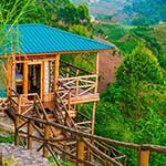 Rushaga Gorilla Lodge
