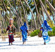 Big Five Flying Safari Masai Mara Kenya Holiday Zanzibar Beach Vacation