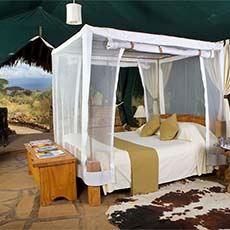 Kibo Safari Camp