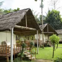 Hornbill Camp